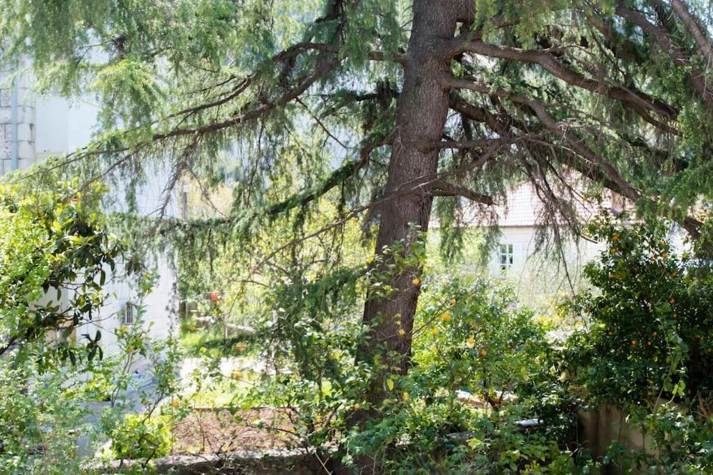 Lapad Cove Apartment Dubrovnik Luaran gambar