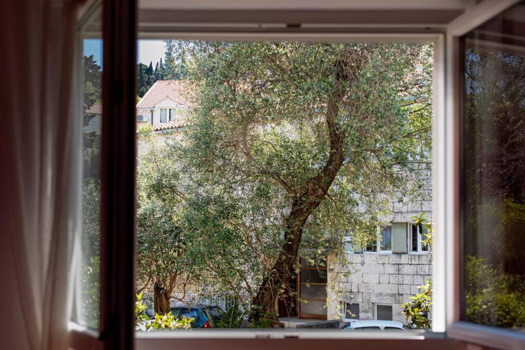 Lapad Cove Apartment Dubrovnik Luaran gambar